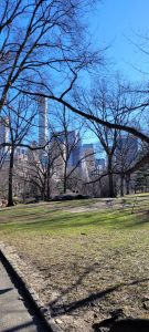 WhatsApp Image 2026-04-02 at 5.53.21 PM (1)